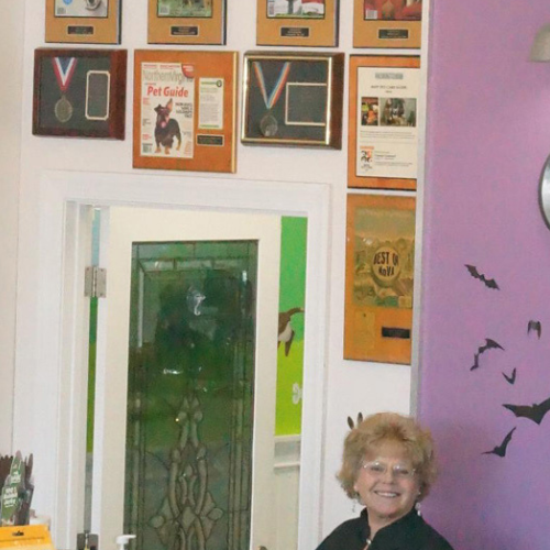 A smiling woman stands in a room with purple walls decorated with bat stickers. A door and a wall display numerous awards and certificates.