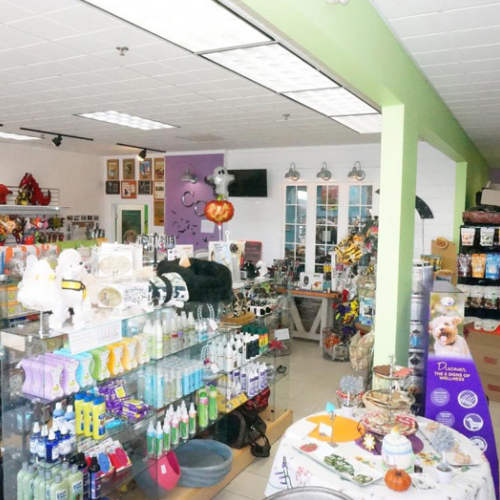 A bright, colorful pet store interior with neatly organized shelves of pet supplies. Decor includes stuffed animals, a hanging pumpkin, and playful accents.