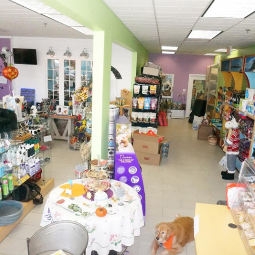 Pet store interior with colorful displays of pet food, toys, and accessories. A golden retriever lies near a table decorated with a floral cloth and pumpkins. The atmosphere is lively and inviting.