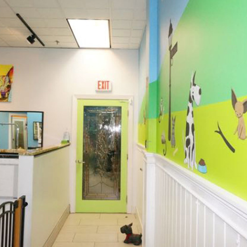 A brightly painted hallway with animal murals features a green door with glass panels, an exit sign above it, and a small dog statue on the floor.
