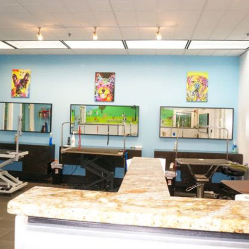 Spacious pet grooming salon with colorful art on blue walls, mirrored stations, and grooming tables. Bright, clean, and inviting atmosphere.