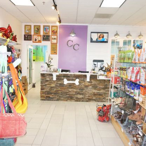 Bright pet store interior with a stone counter, purple accent wall, and pet products on shelves. Colorful bags hang to the left. Welcoming ambiance.