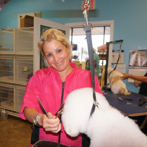 A woman in a pink smock trims a fluffy white dog's fur in a grooming salon. She smiles warmly. Cages line the bright, inviting room.