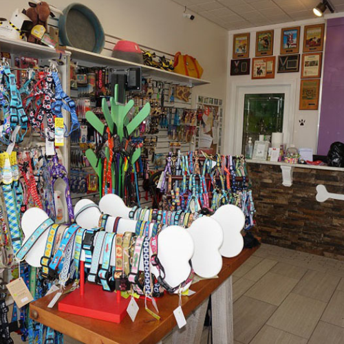 A vibrant pet store interior featuring colorful dog collars displayed on bone-shaped stands. Shelves with accessories are in the background, creating an inviting atmosphere.