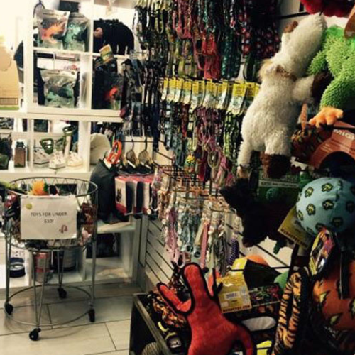 Pet store filled with colorful toys and accessories. Plush toys and collars hang on the wall. A basket displays items under $10, creating a playful vibe.
