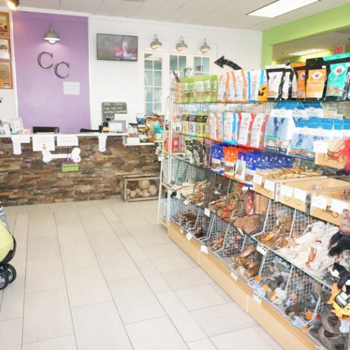 A pet store interior featuring shelves stocked with colorful pet products on the right. The stone-tiled counter on the left has a purple accent wall behind it, with letters 