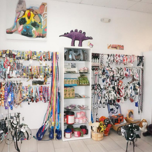 Pet store interior with colorful dog leashes, collars, and treats displayed. A painting of a dog and a dinosaur decoration add playful elements.