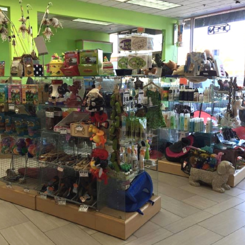 A brightly lit pet store with green walls, displaying colorful toys, birdcages, and pet accessories. The atmosphere is lively and inviting.