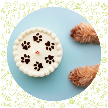 Pet BakeryA white cake with chocolate paw prints and a lit candle sits on a blue surface. Fluffy brown dog paws are visible, surrounded by playful pet-themed icons.